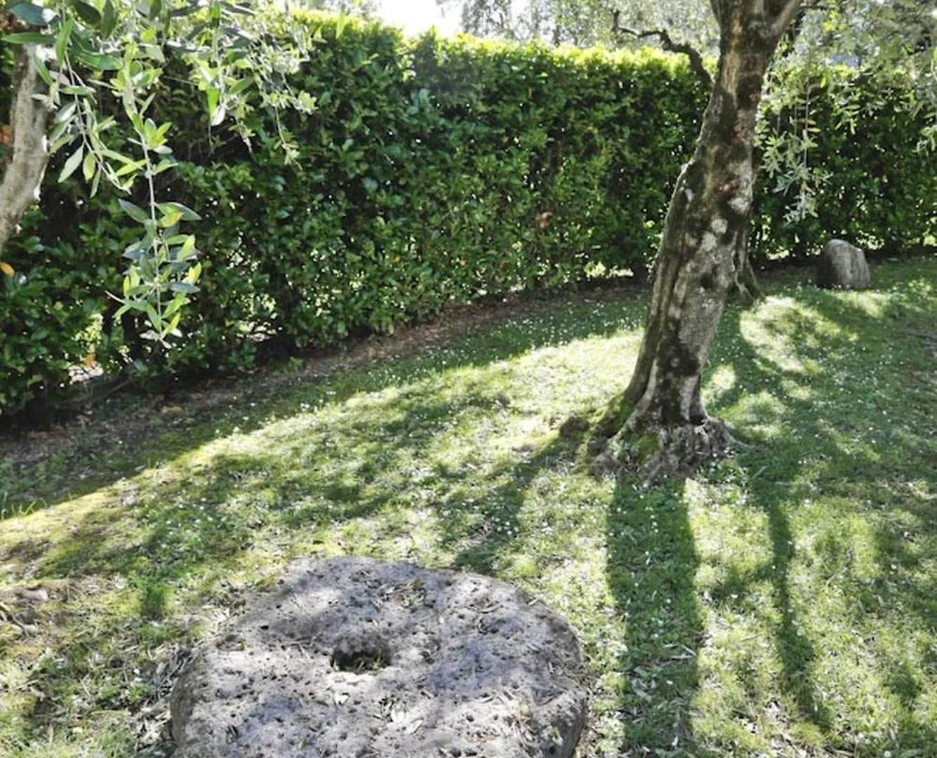 Villa Del Dottore 欧苏西奥